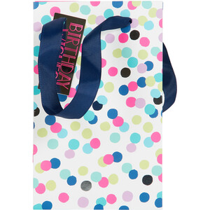 Pack of 2 Polka Medium and Small Gift Bags - Blue and White