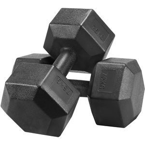 Set of 2 Dumbbells for Strength Training Aerobic - Black / 15kg by Yaheetech