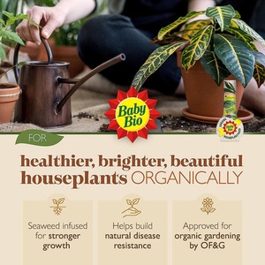 Organic Baby Bio Liquid Houseplant Food Concentrated Nitrogen Feed 175m - Neutral by Baby Bio