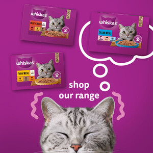 Whiskas 1+ Cat Food Tins in Jelly - Meaty Menu by Whiskas