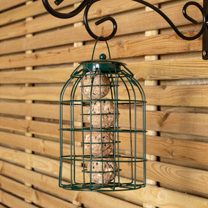 Wild Bird Fatball Fat Ball Feeder with Squirrel Guard - Green / 12 by Samuel Alexander