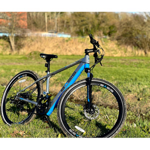 Basis Protocol Commuter Electric Bike, 700c by Basis