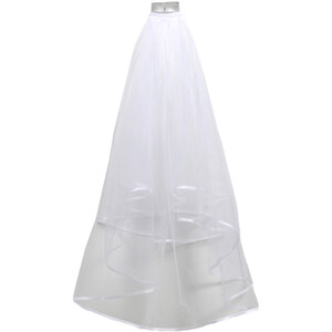 Bride to Be Veil