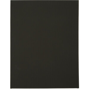 Canvas Value Set by Art Studio