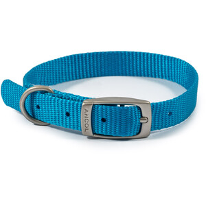 Viva Dog Collar - Blue / 2 by Ancol
