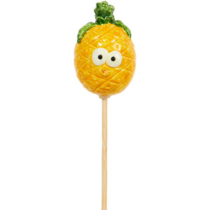 Fruit and Veg Garden Stakes