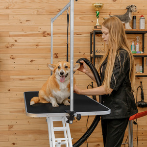 Hydraulic Pet Dog Grooming Tables Height Adjustable by Monster Shop