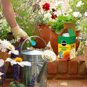 Miracle-Gro All Purpose Soluble Plant Food High Nitrogen Plant Feed 1.2kg - Neutral by Miracle-Gro