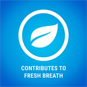 Dentalife Dog Chews - 42 by Dentalife