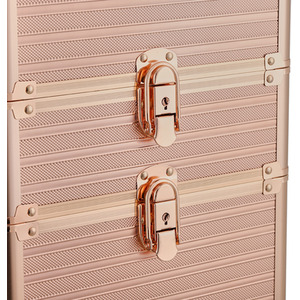 Professional Beauty Case on Wheels by Livingandhome