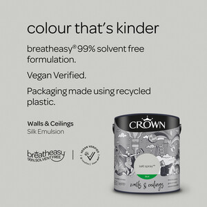 Crown Walls and Ceilings Silk Emulsion by Crown Paints