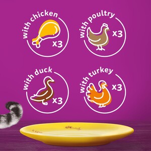 Whiskas 1+ Pouches in Gravy - Poultry Feasts by Whiskas