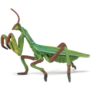 PAPO Wild Animal Kingdom Praying Mantis Toy Figure - Green by PAPO