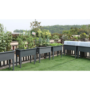 Raised Garden Flower Bed - Grey by My Garden