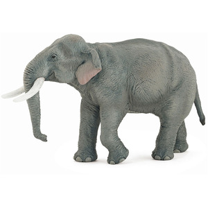 PAPO Wild Animal Kingdom Asian Elephant Toy Figure - Grey by PAPO