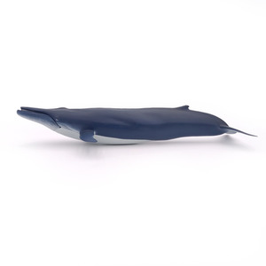 PAPO Marine Life Blue Whale Toy Figure - Blue by PAPO