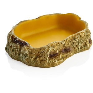 Swell Reptiles Food Dish by Swell Reptiles