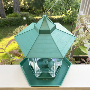 Durlston Green Chalet Bird Seed and Nut Feeder - Green by Selections