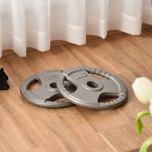 HOMCOM Weight Plates Grip Plate Sets - Silver / 2 by HOMCOM