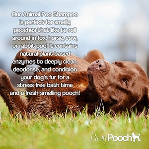 Pretty Pooch Fox Poo Dog Shampoo and Conditioner for Smelly Dogs Citrus - Orange by Pretty Pooch