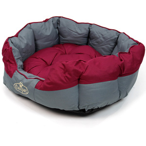 Waterproof Dog Bed in Burgundy - Burgundy / M by Actiaspet