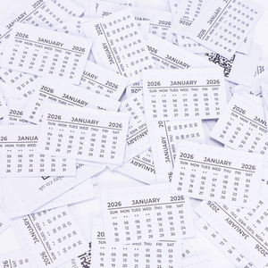 50 Pack 2026 Monthly Calendar Tear Off Tab Pads - White by Evelay Ltd