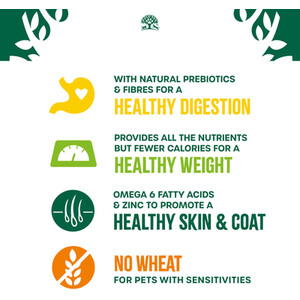 James Wellbeloved Light Recipe Turkey Adult Cat Food - Brown by James Wellbeloved