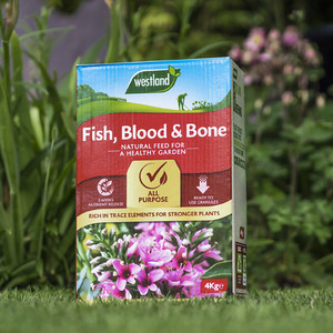 Westland Fish Blood And Bone by Westland