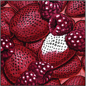 Spectrum Noir Classique 6 Pack - Fiery Reds by Spectrum Noir