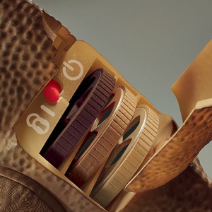 T Rex Projector and Room Guard - Dinosaurs by JBL Global