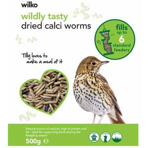 Wild Bird Wildly Tasty Dried Calci Worms 500g