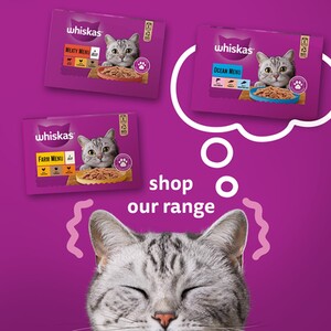 Whiskas 1+ Cat Food Tins in Jelly - Ocean Menu by Whiskas