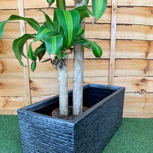 Brick Effect Trough Planter 60cm - Grey by Strata