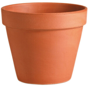Terracotta Pot