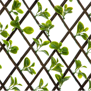 Expanding Wooden Trellis Privacy Screen - Green / Jade