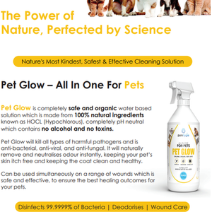 Organic and Safe All In One Pet Glow - Clear by Pure Hygie