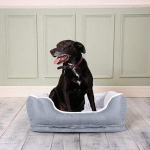 Orthopedic Dog Bed Medium - Grey by Dreampaws