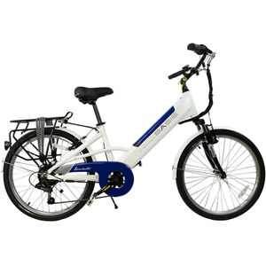 Basis Dorchester Step Through Electric Bike, 24