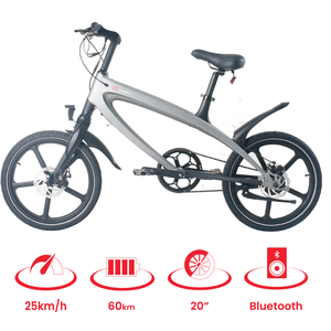 The Official Cruzaa E-Bike Gunmetal Grey Built in Bluetooth Speakers - Grey by Cruzaa