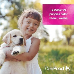 Animal Fox Poo Shampoo 2L Citrus and 2 Pack of Dog Deodoriser - Clear by Pretty Pooch