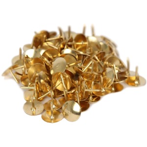 Drawing Pins - Brass - Brass / 200 by Ashley