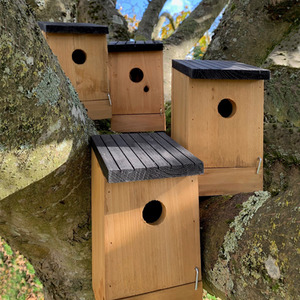 Traditional Wooden Bird Nest Box Birdhouses with Removable Bases by Selections