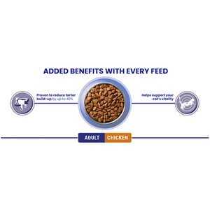 Purina ONE Adult Dry Cat Food - 800g / Chicken and Whole Grains by Purina ONE