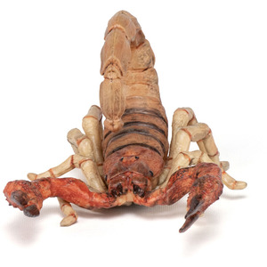 PAPO Wild Animal Kingdom Scorpion Toy Figure - Black by PAPO