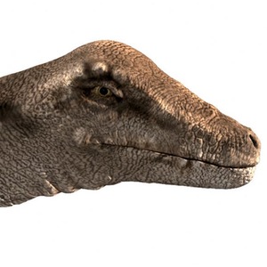 Dinosaur Torch and Projector - Dinosaurs by JBL Global