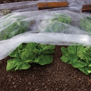 Plant Frost Protection Fleece 8M - White by SupaGarden