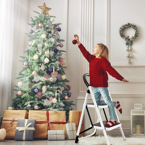 2-Step Household Ladder - Black by Costway