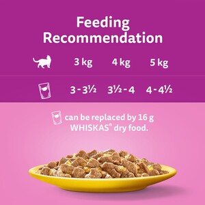 Whiskas 7+ Cat Food Pouches in Jelly - Chicken, Duck, Poultry, Turkey by Whiskas