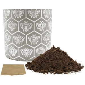 Bee Friends Patterned Ceramic Pot - Grey / Wild Flower Mix by Bee Friends