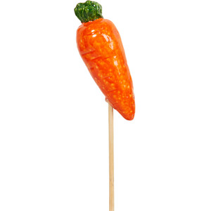 Fruit and Veg Garden Stakes